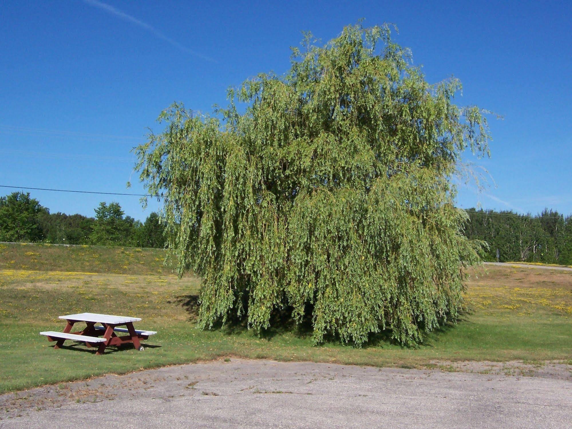Manitowaning Wayside Motel Manitoulin מראה חיצוני תמונה