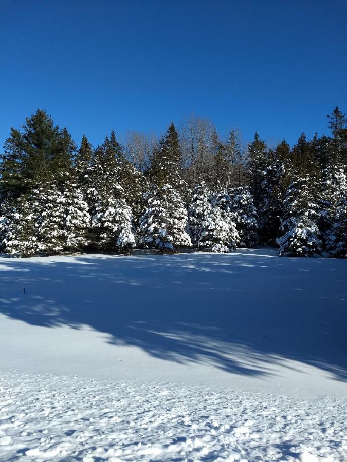 Manitowaning Wayside Motel Manitoulin מראה חיצוני תמונה